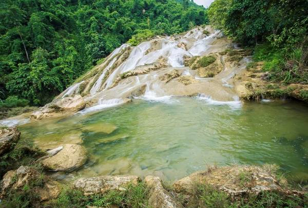 Dòng nước trong vắt, nhìn rõ đàn cá tung tăng bơi lội.