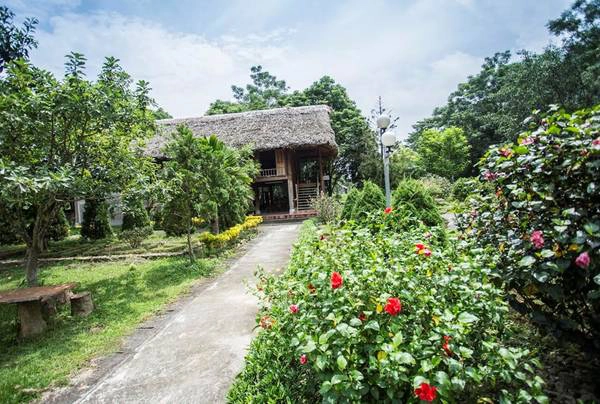 Những ngôi nhà sản của người bản địa là nơi khách nghỉ chân sau những giờ khám phá thác Bản Ba. Nhiều món ăn đặc sản được phục vụ tại đây, như rau dớn, cá suối nướng, gà đồi...