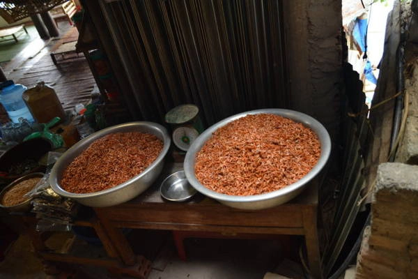Tôm Thác Bờ - Ảnh: Phạm Tô Chiêm Tôm Thác Bờ - Ảnh: Phạm Tô Chiêm