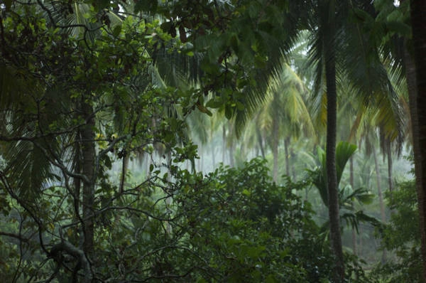 Huyện Ko Yao, Phangnga