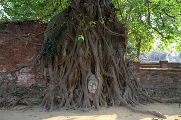 Tỉnh Phra Nakhon Si Ayutthaya