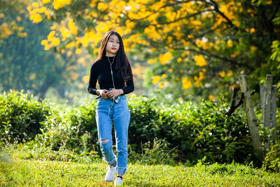 Thiếu nữ bước đi giữa mùa hoa muồng vàng tại Bàu Cạn, Gia Lai - Ảnh: THẾ DŨNG Thiếu nữ bước đi giữa mùa hoa muồng vàng tại Bàu Cạn, Gia Lai - Ảnh: THẾ DŨNG
