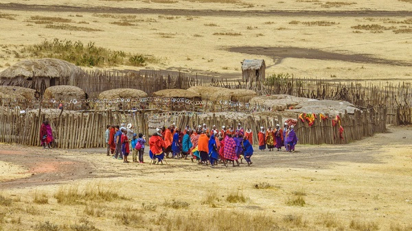 Làng Maasai Làng Maasai