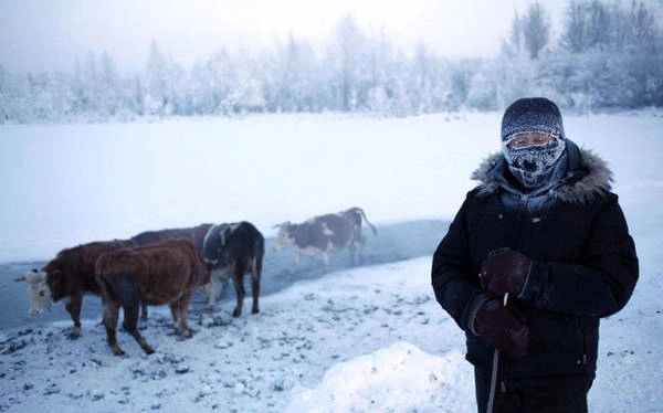 Nhiệt độ trung bình tháng 1 tại Oymyakon là -50 độ C