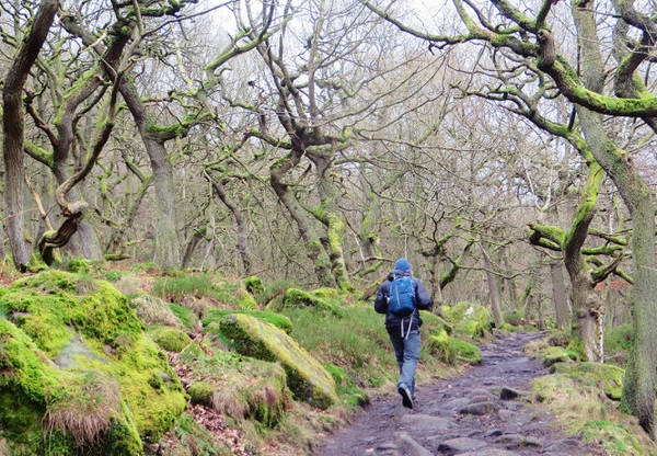 Khung cảnh tuyệt đẹp trong công viên quốc gia Peak District - Ảnh: KIM NGÂN Khung cảnh tuyệt đẹp trong công viên quốc gia Peak District - Ảnh: KIM NGÂN