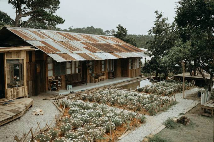 Nằm bên trong một homestay kiểu nhà xưa lợp mái tôn cũ kỹ, tiệm cà phê Túi mơ to níu chân người thích hoài niệm mỗi khi ghé Đà Lạt.Tiệm ở hẻm 31 Sào Nam (gần khu dã chiến đường đi Trại Mát), cách trung tâm Đà Lạt tầm 6km Nằm bên trong một homestay kiểu nhà xưa lợp mái tôn cũ kỹ, tiệm cà phê Túi mơ to níu chân người thích hoài niệm mỗi khi ghé Đà Lạt.Tiệm ở hẻm 31 Sào Nam (gần khu dã chiến đường đi Trại Mát), cách trung tâm Đà Lạt tầm 6km