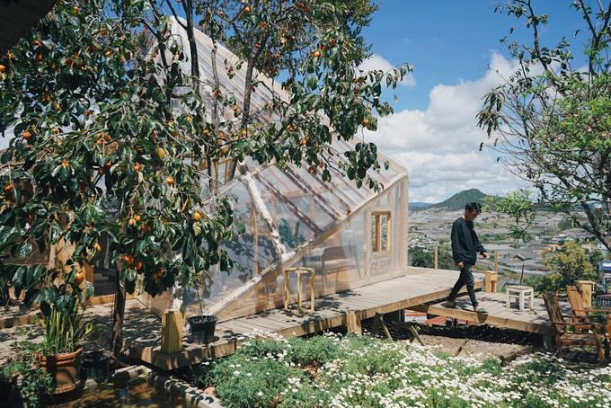 Tháng 11 mùa hồng, cây trĩu quả ra trái hồng rực, nổi bật giữa sân làm cảnh sắc thêm tươi tắn giữa những ngày u ám. Tháng 11 mùa hồng, cây trĩu quả ra trái hồng rực, nổi bật giữa sân làm cảnh sắc thêm tươi tắn giữa những ngày u ám.
