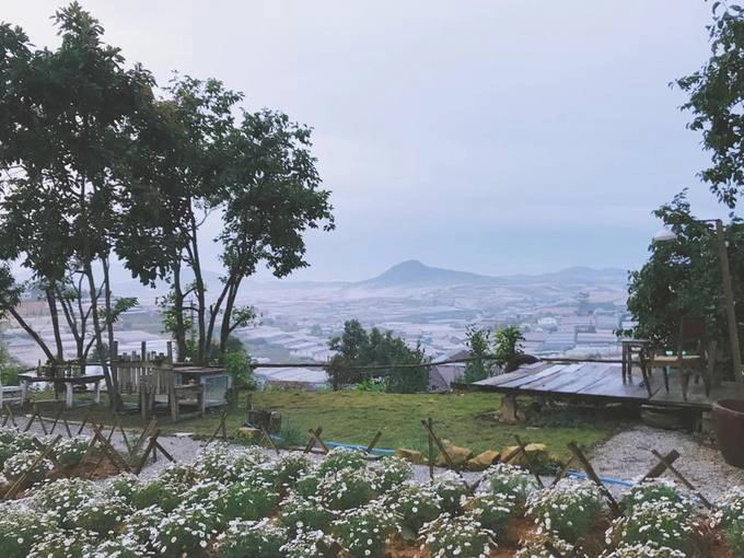 Điểm xuyến trước sân là ruộng cúc họa mi xinh xắn, cũng là điểm nhấn mỗi độ thu sang ở quán, làm bạn có cảm giác như được quay về ngày nhỏ. Điểm xuyến trước sân là ruộng cúc họa mi xinh xắn, cũng là điểm nhấn mỗi độ thu sang ở quán, làm bạn có cảm giác như được quay về ngày nhỏ.