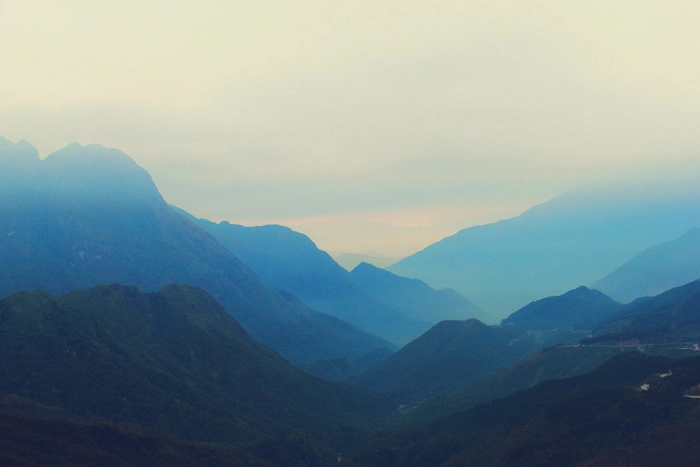 Từ Ô Quy Hồ