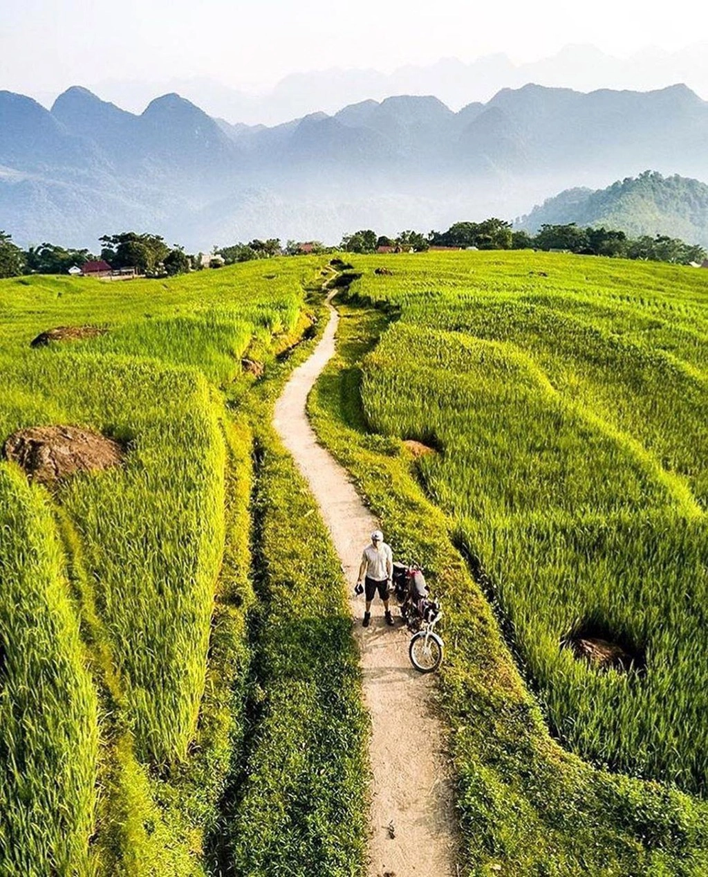 Pù Luông (Thanh Hóa): Không quá xa Hà Nội, Pù Luông là chốn "săn" lúa thuận tiện cho bạn. Hiện tại, lúa ở Pù Luông vẫn còn xanh. Giống nhiều địa điểm khác, cuối tháng 9 tới đầu tháng 10 là thời điểm lý tưởng nhất để du khách sống ảo mùa vàng tại đây. Lúc này, hầu hết ruộng bậc thang đã chín vàng, tạo phông nền để bạn sở hữu những bức ảnh đẹp. Ảnh: Pulong retreat. So_vietnam_travel.