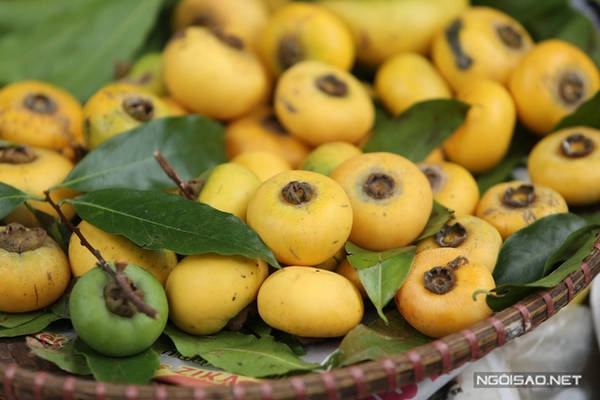 Hẳn ai cũng thuộc nằm lòng câu vè từ lúc bé thơ: "Thị thơm thị rụng bị bà. Bà để bà ngửi chứ bà không ăn". Dù không dùng để ăn nhưng quả thị vẫn xuất hiện ở các khu chợ nội thành vào mùa thu luôn mang theo mùi thơm nồng nàn, dễ chịu. Hẳn ai cũng thuộc nằm lòng câu vè từ lúc bé thơ: "Thị thơm thị rụng bị bà. Bà để bà ngửi chứ bà không ăn". Dù không dùng để ăn nhưng quả thị vẫn xuất hiện ở các khu chợ nội thành vào mùa thu luôn mang theo mùi thơm nồng nàn, dễ chịu.