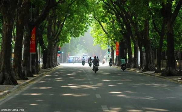 Cờ hoa trong nắng vàng mơ (Ảnh: Giang Trịnh)