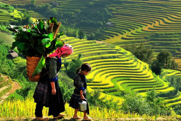 Mù Căng Chải luôn là đề tài bất tận cho các nhiếp ảnh gia. Mù Căng Chải luôn là đề tài bất tận cho các nhiếp ảnh gia.