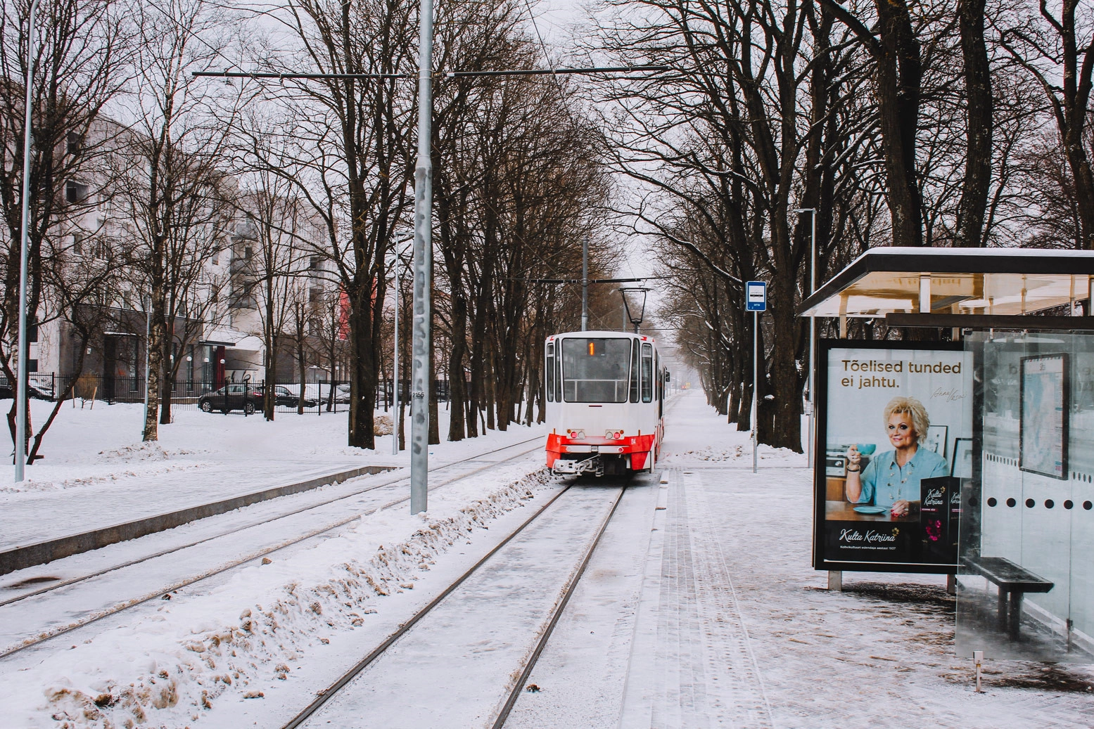 Không chỉ là là trung tâm chính trị, tài chính, văn hoá và giáo dục chính của Estonia. Tallinn còn được gọi là thung lũng Silicon của châu Âu với số lượng người khởi nghiệp bình quân trên đầu người cao nhất khu vực. Trụ sở chính cơ quan IT của Liên minh châu Âu cũng được đặt ở đây. Không chỉ là là trung tâm chính trị, tài chính, văn hoá và giáo dục chính của Estonia. Tallinn còn được gọi là thung lũng Silicon của châu Âu với số lượng người khởi nghiệp bình quân trên đầu người cao nhất khu vực. Trụ sở chính cơ quan IT của Liên minh châu Âu cũng được đặt ở đây.