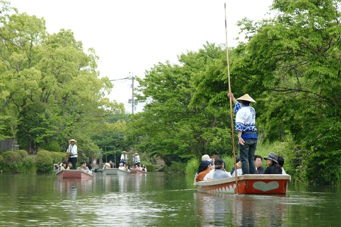 Người dân thường dùng một chiếc sào dài để đẩy thuyền. Khi chở khách, họ thường hát những bài truyền thống để tạo bầu không khí vui vẻ cho hành khách, đôi khi còn phô diễn kỹ năng chèo thuyền trên quãng đường di chuyển khoảng 3-4 km. Người dân thường dùng một chiếc sào dài để đẩy thuyền. Khi chở khách, họ thường hát những bài truyền thống để tạo bầu không khí vui vẻ cho hành khách, đôi khi còn phô diễn kỹ năng chèo thuyền trên quãng đường di chuyển khoảng 3-4 km.
