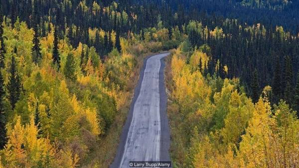 Tại nơi giao giữa hai con sông Yukon và Klondie, phía tây bắc tỉnh Yukon, thành phố Dawson nằm gọn trên dãy Ogilvie. Đây là dãy núi trải dài trên diện tích 2.000 km2 và bảo vệ nhiều động vật hoang dã như tuần lộc, nai sừng tấm và gấu xám Bắc Mỹ. Nếu đi từ Whitehorse, thủ phủ tỉnh, theo đường cao tốc Klondie dài 533 km, có thể mất tới 7 giờ để tới thành phố Dawson. Tại nơi giao giữa hai con sông Yukon và Klondie, phía tây bắc tỉnh Yukon, thành phố Dawson nằm gọn trên dãy Ogilvie. Đây là dãy núi trải dài trên diện tích 2.000 km2 và bảo vệ nhiều động vật hoang dã như tuần lộc, nai sừng tấm và gấu xám Bắc Mỹ. Nếu đi từ Whitehorse, thủ phủ tỉnh, theo đường cao tốc Klondie dài 533 km, có thể mất tới 7 giờ để tới thành phố Dawson.