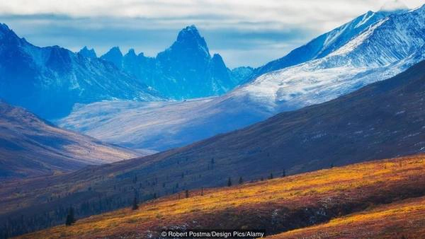 Vài năm sau, ở giải Yukon mở rộng (cuộc thi đãi vàng được tổ chức tại Dawson vào tháng 7 hàng năm) Dawne Mitchell lại tham gia cùng với những thợ mỏ kỳ cựu. Mitchell là phụ nữ duy nhất tham gia và đã trở thành người phụ nữ đầu tiên chiến thắng ở cuộc thi này. Vài năm sau, ở giải Yukon mở rộng (cuộc thi đãi vàng được tổ chức tại Dawson vào tháng 7 hàng năm) Dawne Mitchell lại tham gia cùng với những thợ mỏ kỳ cựu. Mitchell là phụ nữ duy nhất tham gia và đã trở thành người phụ nữ đầu tiên chiến thắng ở cuộc thi này.