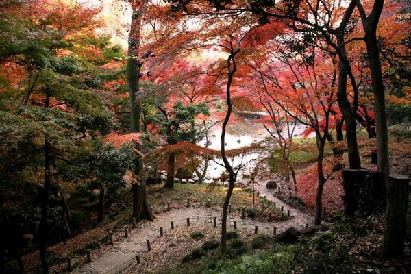 Ảnh: touristicattractions.com
