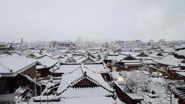 Mỗi mùa ở Jeonju mang một nét đẹp riêng. Mùa xuân rực rỡ với hoa anh đào. Mùa hè tươi mát với những hàng cây xanh rì cùng nhiều loại trái cây ngon lành. Mùa thu lãng mạn với đồi lá phong đỏ, hàng cây ngân hạnh vàng. Mùa đông lại lặng lẽ, mái nhà phủ một lớp tuyết trắng tuyệt đẹp.