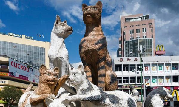 Mèo có ở khắp mọi nơi tại Kuching. Ảnh: Grant Dixon Mèo có ở khắp mọi nơi tại Kuching. Ảnh: Grant Dixon