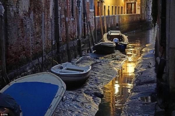 Sự thiếu nước trầm trọng của Venice cũng làm lộ ra các bức tường tróc lở, đổ nát của những tòa nhà có lịch sử lâu đời.