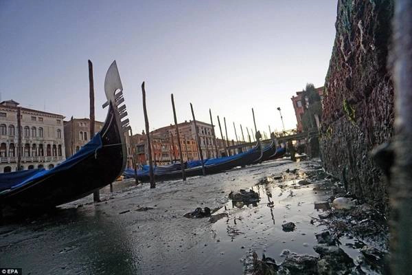 Bùn lầy và rác thải dưới lòng các con sông, kênh đào khiến khung cảnh của thành phố Venice trở nên hoang tàn hơn bao giờ hết.