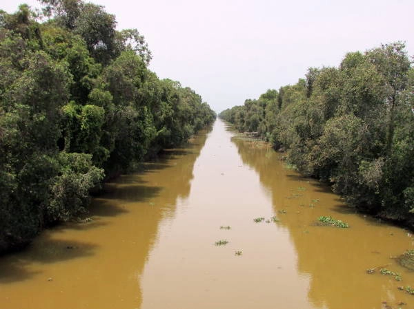 Một trong nhiều con kênh ở Thạnh Tân, những con kênh dài thẳng tắp với tràm dày đặc hai bên bờ - Ảnh: N.T.Đăng Một trong nhiều con kênh ở Thạnh Tân, những con kênh dài thẳng tắp với tràm dày đặc hai bên bờ - Ảnh: N.T.Đăng