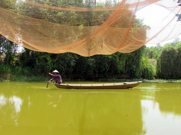 Một cụ bà bơi xuồng trên dòng kênh trong khu bảo tồn sinh thái Thạnh Tân - Ảnh: N.T.Đăng Một cụ bà bơi xuồng trên dòng kênh trong khu bảo tồn sinh thái Thạnh Tân - Ảnh: N.T.Đăng
