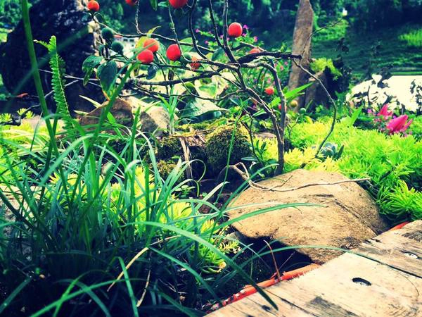 The-Haven-Sapa-Camp-Site-nac-thang-len-thien-duong-tuyet-dep-trong-truyen-thuyet-o-sapa-ivivu-13