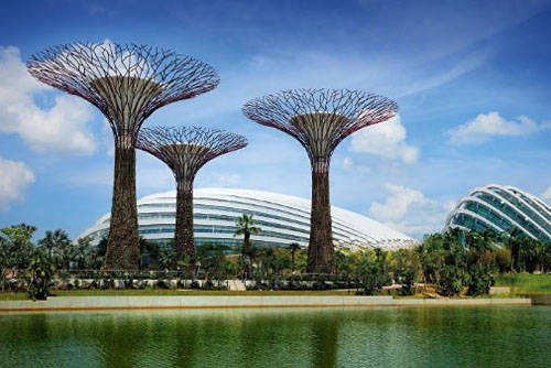 Gardens by the Bay trải dài với 3 khu vườn bên bờ vịnh: Bay South và Bay East ở hai bên, còn Bay Central nằm giữa.