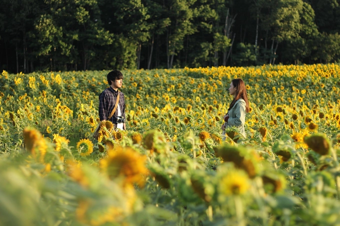 Giống nhiều vùng khác ở Hokkaido, phần lớn thời gian trong năm, thị trấn nhỏ này chìm trong tuyết trắng. Mùa hè ngắn ngủi trong vòng 2 tháng nhưng nhiệt độ cao nhất cũng chỉ ở 18 độ C. Chính vì vậy mà đoàn làm phim "Nhắm mắt thấy mùa hè" cũng gặp không ít trở ngại khi chọn Higashikawa quay ngoại cảnh. Và một trong những cảnh ấn tượng nhất trong phim là cánh đồng hoa hướng dương, nơi hai diễn viên chính gặp nhau.