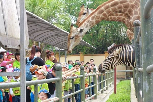 Khu vực vườn thú thu hút những em nhỏ thích nghiên cứu động vật. Thien-Duong-Bao-Son-Diem-choi-he-ly-tuong-cho-tre-ivivu-1