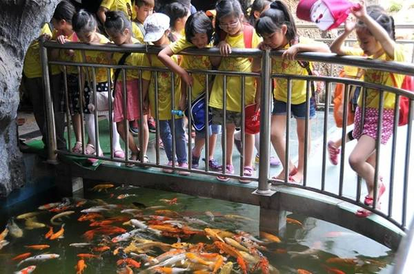 Đoàn khách tham quan nhí cùng nhìn ngắm những loài cá và sinh vật biển độc đáo. Thien-Duong-Bao-Son-Diem-choi-he-ly-tuong-cho-tre-ivivu-4