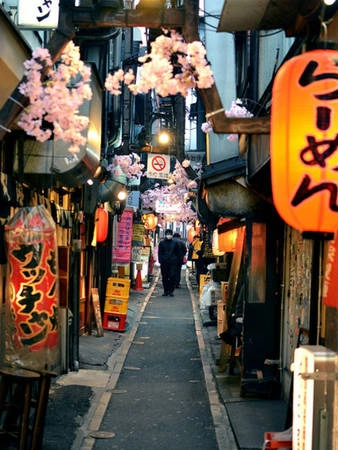 Có hơn 60 nhà hàng và quán bar ở Omoide Yokocho, hầu hết phục vụ Yakitori và uống rượu sake hoặc bia. Ngoài ra, nhiều cửa hàng cũng bán cả mỳ ramen, soba, sushi...