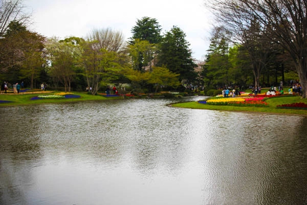 Nằm ở Tachikawa, cách trung tâm Tokyo 30 phút đi tàu, công viên có nhiều hồ nước xinh xắn, sân chơi và cảnh quan tuyệt đẹp. Du khách phải cần cả ngày mới khám phá hết nơi này. Nằm ở Tachikawa, cách trung tâm Tokyo 30 phút đi tàu, công viên có nhiều hồ nước xinh xắn, sân chơi và cảnh quan tuyệt đẹp. Du khách phải cần cả ngày mới khám phá hết nơi này.