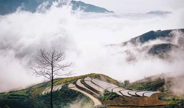 Vào đầu hè, khi những cơn mưa rào bắt đầu kéo đến cũng là thời điểm mùa nước đổ vào ruộng ở khắp các vùng cao Tây Bắc. Vào đầu hè, khi những cơn mưa rào bắt đầu kéo đến cũng là thời điểm mùa nước đổ vào ruộng ở khắp các vùng cao Tây Bắc.