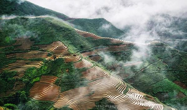 .Những thửa ruộng bậc thang được quấn bằng một làn mây nhẹ. .Những thửa ruộng bậc thang được quấn bằng một làn mây nhẹ.