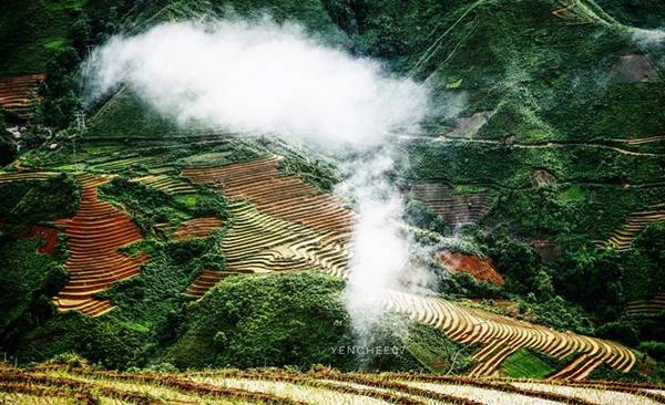 thien-duong-may-ta-xua-giua-mua-he-ivivu-13