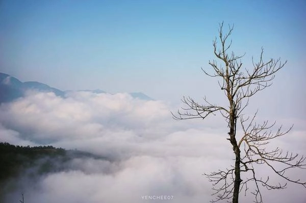 thien-duong-may-ta-xua-giua-mua-he-ivivu-7