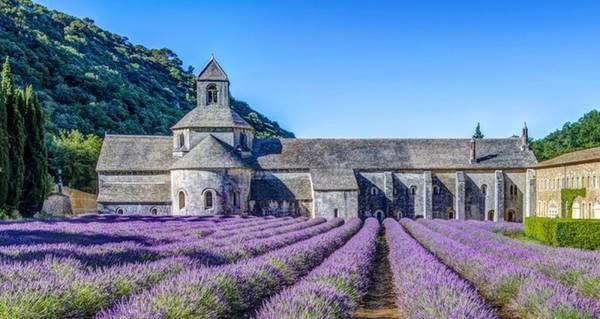 Tu viện cổ L’Abbey de Senanque cũng là điểm đến bạn không nên bỏ lỡ trên đường thăm Provence. Tu viện được xây dựng từ thế kỷ 12, nằm trên đồi Luberon, cách Les Goudes khoảng 2 dặm và cách 25 dặm về phía tây bắc của Aix-en-Provence. Hãy đến đây trước 9h và ở lại đến sau 19h để tận hưởng trọn vẹn vẻ đẹp của công trình này. Tu viện cổ L’Abbey de Senanque cũng là điểm đến bạn không nên bỏ lỡ trên đường thăm Provence. Tu viện được xây dựng từ thế kỷ 12, nằm trên đồi Luberon, cách Les Goudes khoảng 2 dặm và cách 25 dặm về phía tây bắc của Aix-en-Provence. Hãy đến đây trước 9h và ở lại đến sau 19h để tận hưởng trọn vẹn vẻ đẹp của công trình này.
