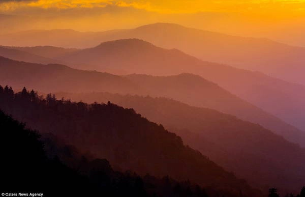 Bức ảnh chụp Great Smokey Mountains ở Tennessee của nhiếp ảnh gia Manish Mantani