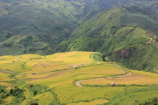 Y Tý, A Lù (Bát Xát- Lào Cai): Xã Y Tý nằm ở phía tây của huyện Bát Xát, tỉnh Lào Cai, cách thành phố Lào Cai khoảng 100 km, là điểm đến đẹp vào mùa lúa chín. Y Tý thú hút bởi mây, núi, màu sắc của rừng già, các thửa ruộng bậc thang ở dốc A Lù, hay những ngôi nhà trình tường của bà con dân tộc Hà Nhì tại hai bản Lao Chải 1 và Lao Chải 2. Năm nay lúa Y Tý đã ngả vàng, bà con người H’mong sau khi ăn Tết Độc lập 2/9 sẽ bắt đầu gặt. Ảnh: Má Lúm. Y Tý, A Lù (Bát Xát- Lào Cai): Xã Y Tý nằm ở phía tây của huyện Bát Xát, tỉnh Lào Cai, cách thành phố Lào Cai khoảng 100 km, là điểm đến đẹp vào mùa lúa chín. Y Tý thú hút bởi mây, núi, màu sắc của rừng già, các thửa ruộng bậc thang ở dốc A Lù, hay những ngôi nhà trình tường của bà con dân tộc Hà Nhì tại hai bản Lao Chải 1 và Lao Chải 2. Năm nay lúa Y Tý đã ngả vàng, bà con người H’mong sau khi ăn Tết Độc lập 2/9 sẽ bắt đầu gặt. Ảnh: Má Lúm.