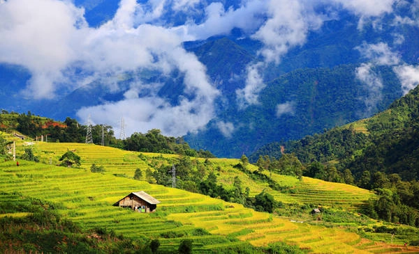 Cát Cát, Tả Van (Sa Pa- Lào Cai): Ở huyện Sa Pa, một số thửa ruộng ở Cát Cát, Tả Van đã ngả màu, khoảng giữa tháng 9 sẽ vàng rộ. Núi xanh, mây trắng và lúa vàng tạo nên một bức tranh thiên nhiên tươi đẹp quen thuộc của mảnh đất Sa Pa. Bản Tả Van, Tả Phìn là điểm du lịch phổ biến, bạn có thể thuê xe máy từ thị trấn Sa Pa để chạy vào thưởng ngoạn cảnh mùa vàng. Ảnh: Nguyễn Trung Quân. Cát Cát, Tả Van (Sa Pa- Lào Cai): Ở huyện Sa Pa, một số thửa ruộng ở Cát Cát, Tả Van đã ngả màu, khoảng giữa tháng 9 sẽ vàng rộ. Núi xanh, mây trắng và lúa vàng tạo nên một bức tranh thiên nhiên tươi đẹp quen thuộc của mảnh đất Sa Pa. Bản Tả Van, Tả Phìn là điểm du lịch phổ biến, bạn có thể thuê xe máy từ thị trấn Sa Pa để chạy vào thưởng ngoạn cảnh mùa vàng. Ảnh: Nguyễn Trung Quân.