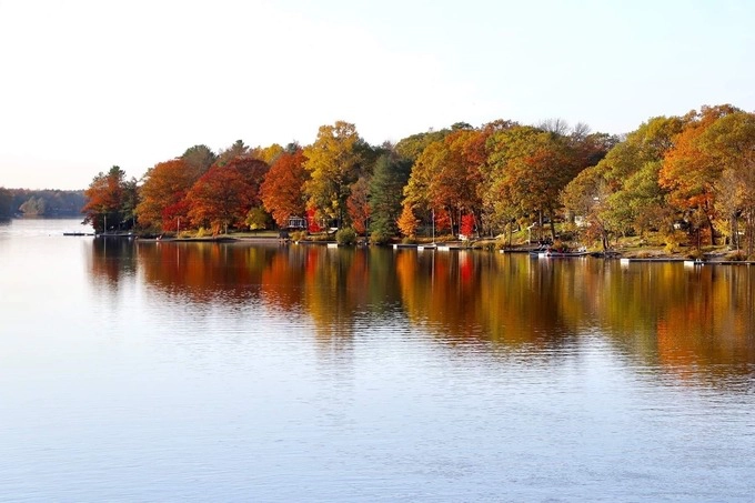 Quận Muskoka nổi tiếng với du khách bởi lễ hội thu hoạch cranberry vào mùa lá đỏ.