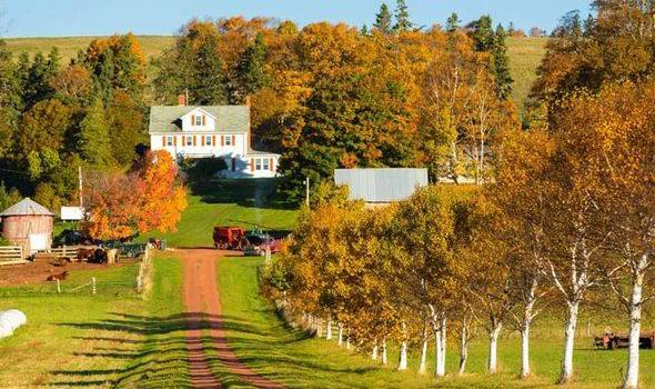 Đảo Hoàng tử Edward (Prince Edward Island): Từ giữa tháng Chín đến cuối tháng Mười, những chiếc lá trên hòn đảo này liên tục thay đổi. Với tầm nhìn đẹp như tranh vẽ của vách đá, bãi biển, biển và, tất nhiên, mùa thu lá bay, tuyến đường 253 km từ trung tâm hòn đảo là một cách tuyệt vời để khám phá đảo Hoàng tử Edward vào mùa thu. Đảo Hoàng tử Edward (Prince Edward Island): Từ giữa tháng Chín đến cuối tháng Mười, những chiếc lá trên hòn đảo này liên tục thay đổi. Với tầm nhìn đẹp như tranh vẽ của vách đá, bãi biển, biển và, tất nhiên, mùa thu lá bay, tuyến đường 253 km từ trung tâm hòn đảo là một cách tuyệt vời để khám phá đảo Hoàng tử Edward vào mùa thu.