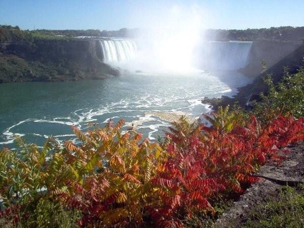 Khu vực Niagara, Ontario: Thác Niagara, làng Niagara và đại lộ ven sông Niagara là tất cả các khu vực bạn phải đến thăm trong mùa thu. Bạn không chỉ có thể được thưởng thức một số loại rượu vang tốt nhất ở Canada trong làng Niagara, mà bạn cũng có thể ngắm thác Niagara được bao quanh bởi màu sắc mùa thu hoặc tham quan những tán lá mùa thu trên đại lộ ven sông đáng yêu. Khu vực Niagara, Ontario: Thác Niagara, làng Niagara và đại lộ ven sông Niagara là tất cả các khu vực bạn phải đến thăm trong mùa thu. Bạn không chỉ có thể được thưởng thức một số loại rượu vang tốt nhất ở Canada trong làng Niagara, mà bạn cũng có thể ngắm thác Niagara được bao quanh bởi màu sắc mùa thu hoặc tham quan những tán lá mùa thu trên đại lộ ven sông đáng yêu.