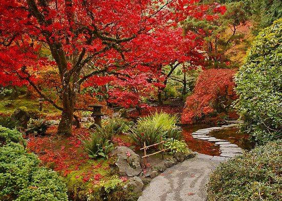 Đảo Vancouver: Butchart Gardens ở Victoria là nơi hoàn hảo để chứng kiến sự thay đổi của những chiếc lá trên bờ biển phía tây của Canada. Khu vực Vườn Nhật Bản trong Butchart Gardens đặc biệt hấp dẫn và sống động với các màu đỏ, vàng vàcam của lá phong và màu sắc của hoa cúc. Thời gian chiêm ngưỡng tuyệt vời nhất là trong tháng Mười và tháng Mười một. Đảo Vancouver: Butchart Gardens ở Victoria là nơi hoàn hảo để chứng kiến sự thay đổi của những chiếc lá trên bờ biển phía tây của Canada. Khu vực Vườn Nhật Bản trong Butchart Gardens đặc biệt hấp dẫn và sống động với các màu đỏ, vàng vàcam của lá phong và màu sắc của hoa cúc. Thời gian chiêm ngưỡng tuyệt vời nhất là trong tháng Mười và tháng Mười một.