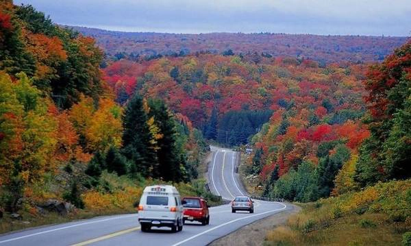 Công viên tỉnh Algonquin, Ontario: Từ tuần cuối cùng của tháng Chín đến hết tháng mười, lá trong các khu vườn liên tục thay đổi màu sắc. Algonquin là rất nơi tập trung rất nhiều cây phong và cây thông đã tạo ra một môi trường tương phản tuyệt vời để khám phá. Công viên tỉnh Algonquin, Ontario: Từ tuần cuối cùng của tháng Chín đến hết tháng mười, lá trong các khu vườn liên tục thay đổi màu sắc. Algonquin là rất nơi tập trung rất nhiều cây phong và cây thông đã tạo ra một môi trường tương phản tuyệt vời để khám phá.