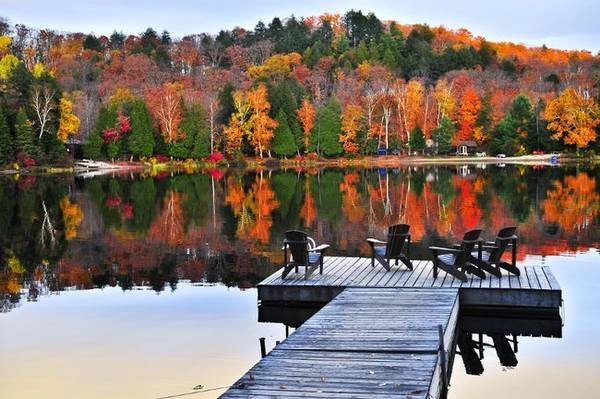 Muskoka, Ontario: khu vực nông thôn của Ontario trở nên đáng yêu trong mùa thu khi lá bắt đầu đổi màu. Cuối tháng Chín đến đầu tháng Mười là thời điểm hoàn hảo để tới khu vực này. Muskoka, Ontario: khu vực nông thôn của Ontario trở nên đáng yêu trong mùa thu khi lá bắt đầu đổi màu. Cuối tháng Chín đến đầu tháng Mười là thời điểm hoàn hảo để tới khu vực này.
