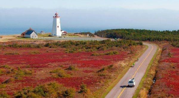 New Brunswick: Con đường ven biển Fundy là một trong những tuyến đường ven biển hàng đầu thế giới, đi xuyên qua vịnh Fundy và những địa điểm hải dương tự nhiên tuyệt vời nhất của tỉnh này. Trong những tuần đầu tiên của tháng Mười, con đường như rực sáng lên bởi màu sắc thay lá mùa thu. New Brunswick: Con đường ven biển Fundy là một trong những tuyến đường ven biển hàng đầu thế giới, đi xuyên qua vịnh Fundy và những địa điểm hải dương tự nhiên tuyệt vời nhất của tỉnh này. Trong những tuần đầu tiên của tháng Mười, con đường như rực sáng lên bởi màu sắc thay lá mùa thu.
